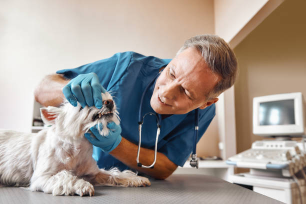 Dentist for Dental Trauma in WI